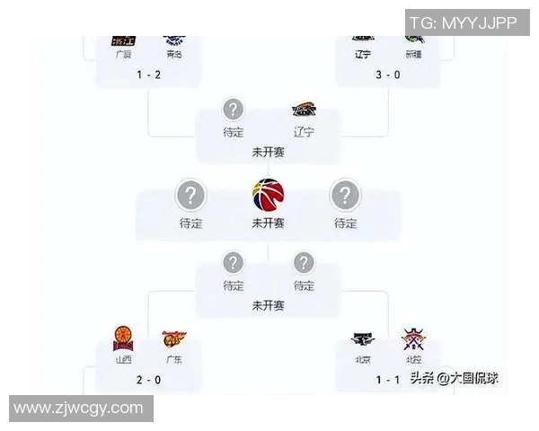 CBA辽宁队与新疆队黑哨事件后续分析及影响探讨